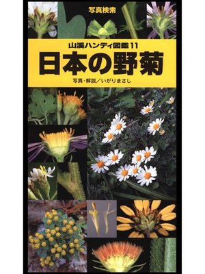 cover image of 山溪ハンディ図鑑11　日本の野菊